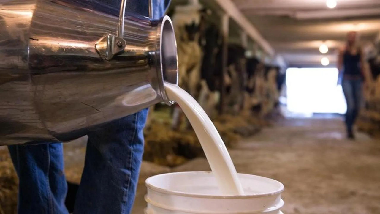 В Молдове производят все меньше молока: в селах не хотят держать коров
