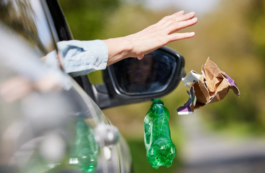 В Молдове предложили конфисковывать автомобили за незаконный выброс мусора