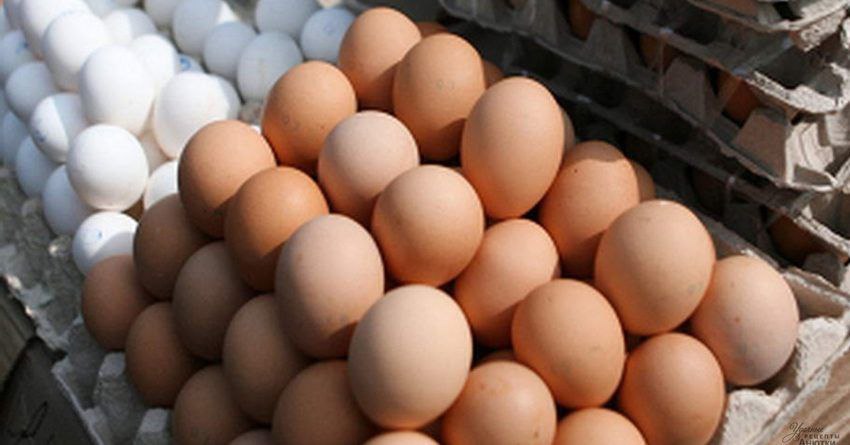 Цены на яйца в Молдове выросли на 10-15% по сравнению с прошлогодними